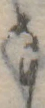 Đã định vị 𛂂