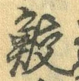 鮫 위치 확인됨
