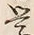 글자 学