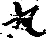 已定位丸