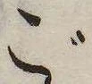 位置 確認된 ご