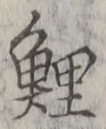 字鯉