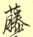 글자 藤