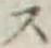 글자 ス