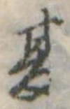 夏 위치 확인됨