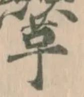 𩎍 위치 확인됨