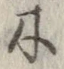 位置 確認된 木