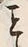 글자 こ