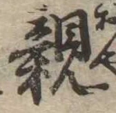 親 위치 확인됨