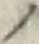 字ノ