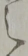 之 위치 확인됨