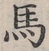 馬 위치 확인됨