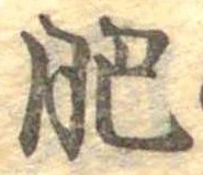 肥 위치 확인됨