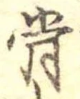 骨 위치 확인됨
