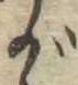 位置 確認된 が