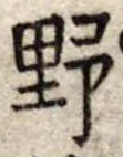 野 위치 확인됨