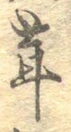 茸 위치 확인됨