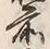 글자 前