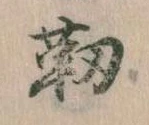 靭の位置