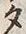文字 タ