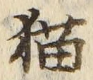文字 猫
