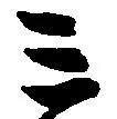 位置 確認된 ミ