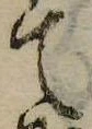 Đã định vị て