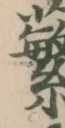 蘩の位置