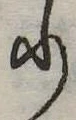 𛃲の位置