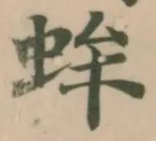 蛑 위치 확인됨