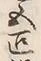 Chữ 繋