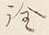 글자 詮