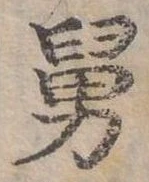 Đã định vị 舅