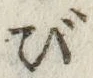 글자 び