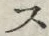 𡨸ス