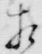 文字相