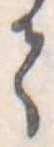 𛁳 위치 확인됨