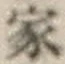 글자 家