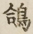 鴿 위치 확인됨