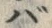 𡨸バ