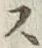 字ス