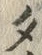 文字タ