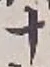 𡨸十