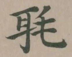 毦の位置