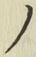 字ノ