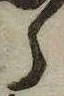 已定位𛃰