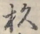 位置定マレル杉
