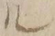 字ル