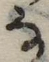 𛂂 위치 확인됨
