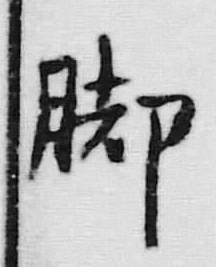 Character 脚